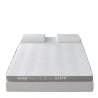 Soft Foam Mattress with Thick Cushioning – King (180×200cm, 5cm)